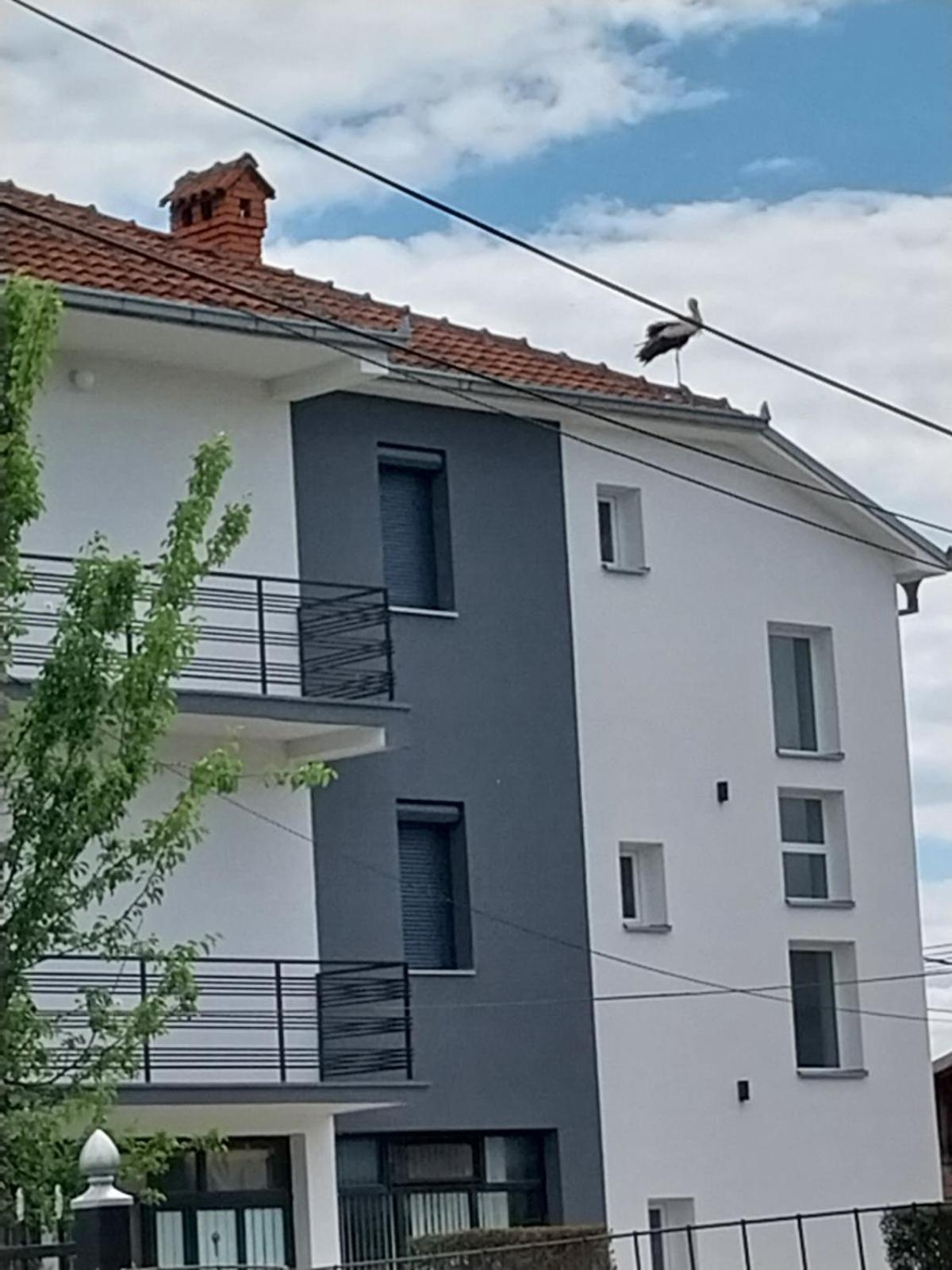Ambient Apartments Струга Екстериор снимка
